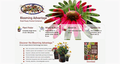 Desktop Screenshot of bloomingadvantage.com