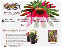 Tablet Screenshot of bloomingadvantage.com